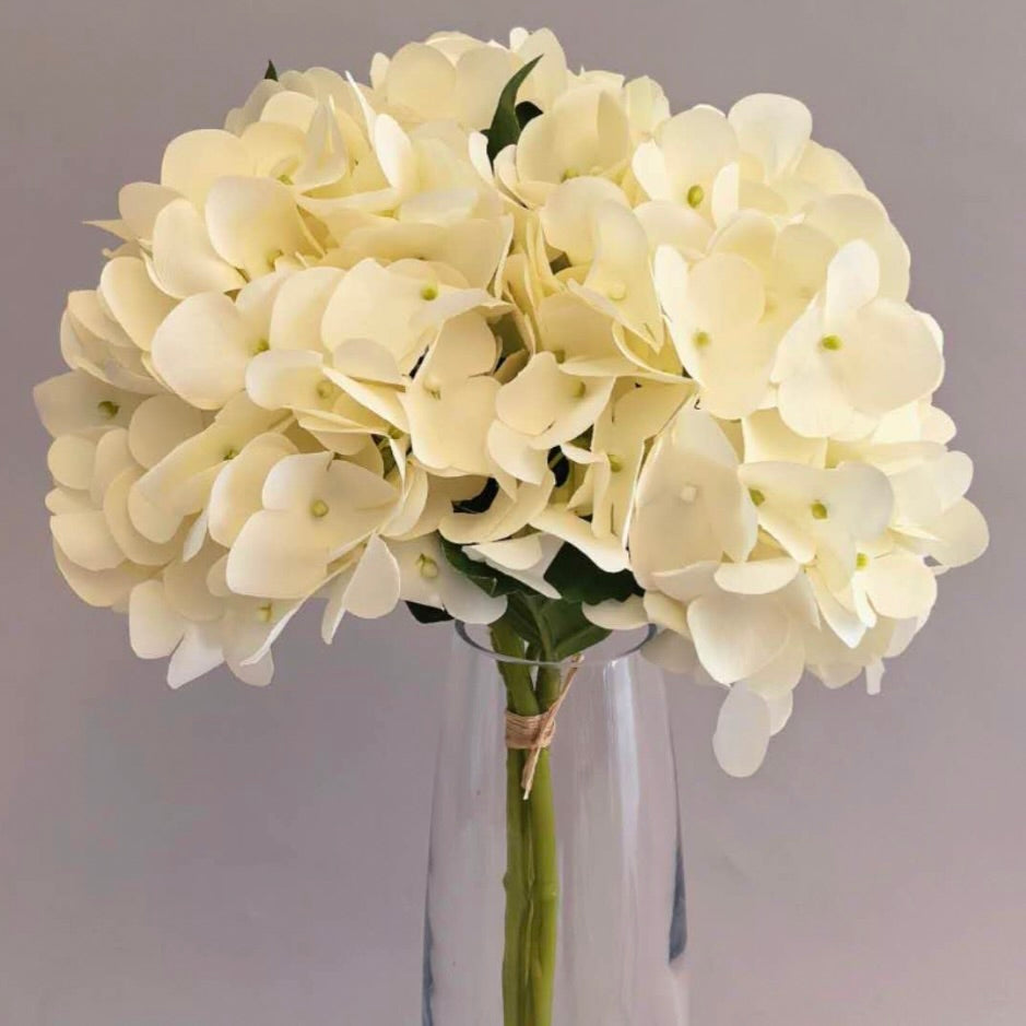 White Hydrangea Bundle