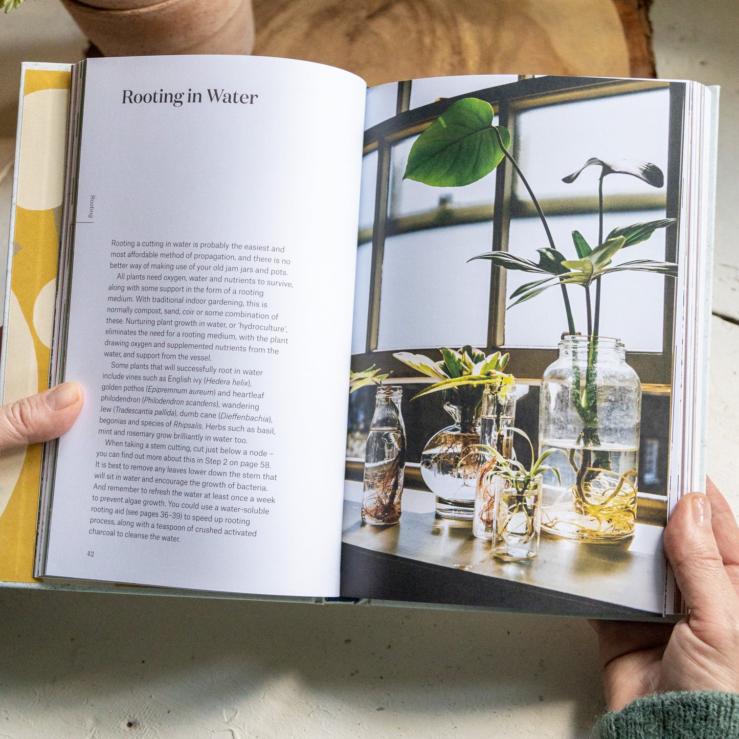Root Nurture Grow
