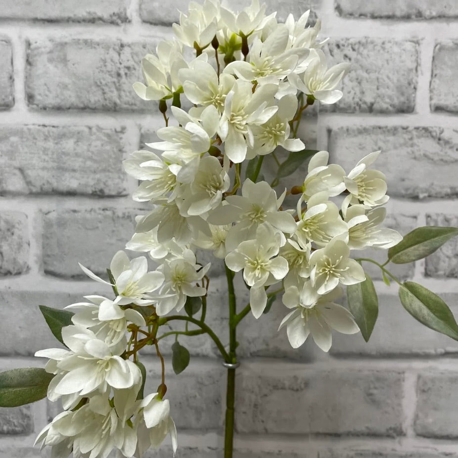 White Weigela Spray