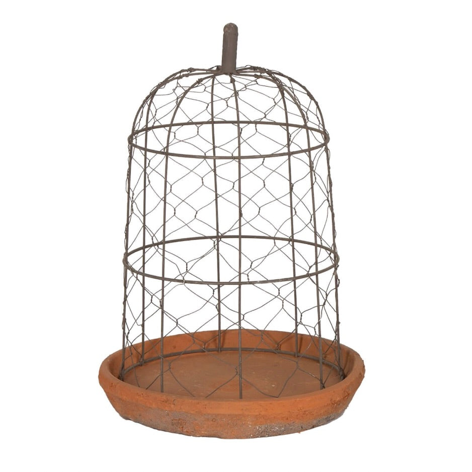 Wire Dome-Large Terra Cotta Pot & Saucer