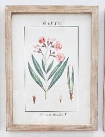De La Flora #2
