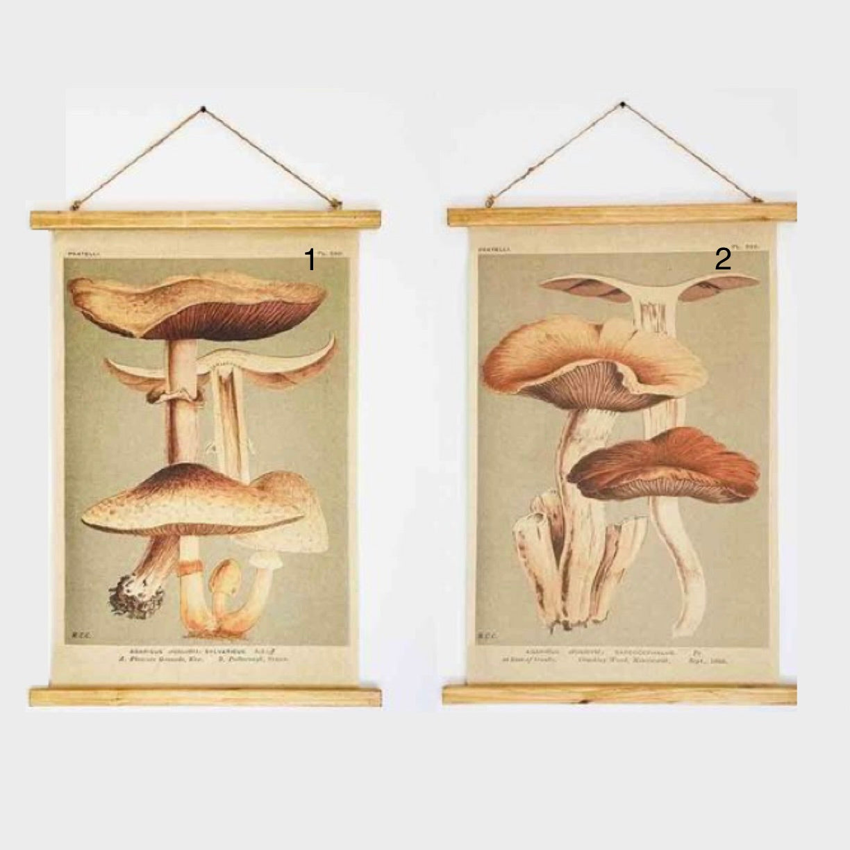 Linen Mushroom Scroll #1