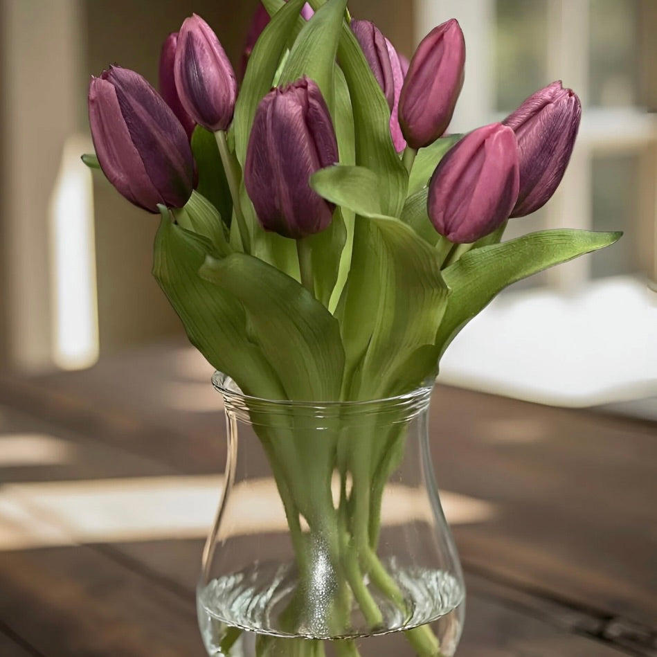 Dark Plum Formosa Tulip Bundle