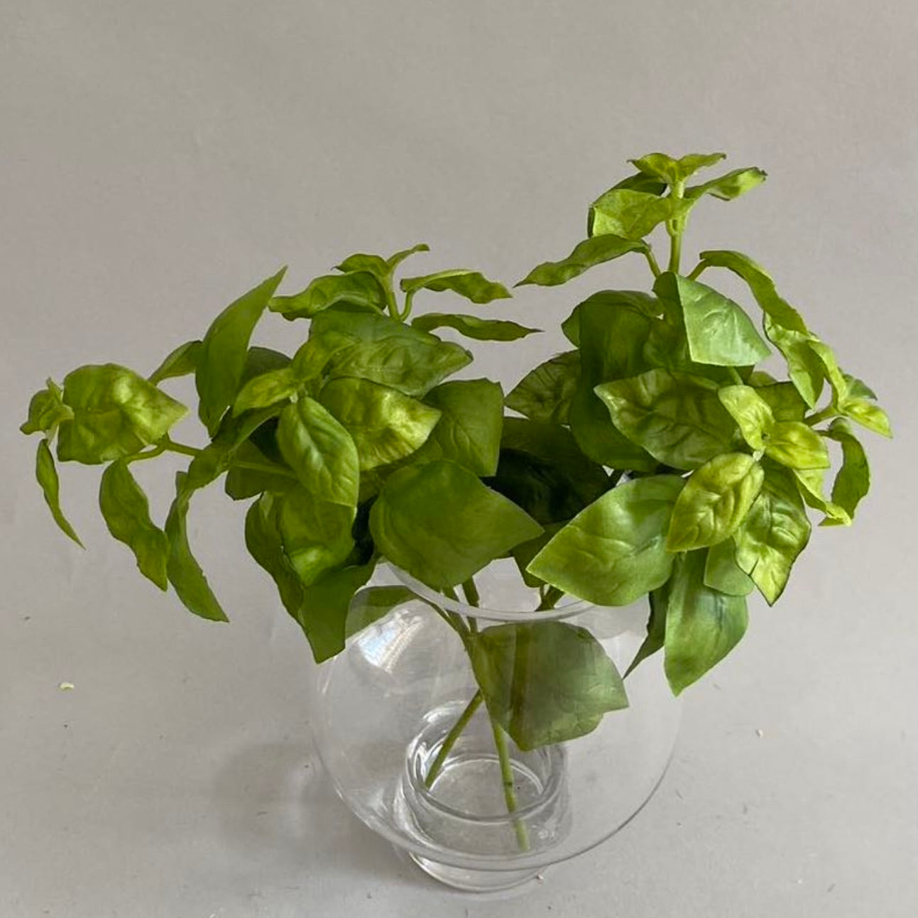 Basil Pick