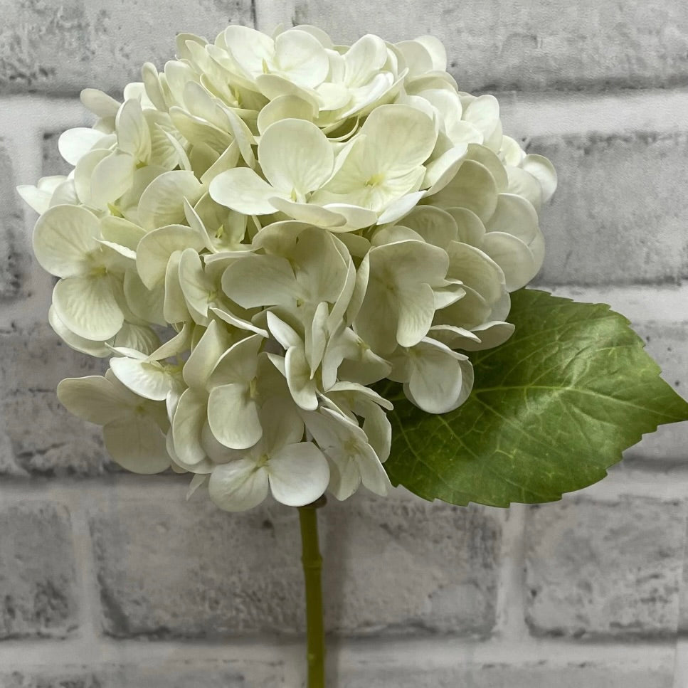 Cream Green Hydrangea Spray