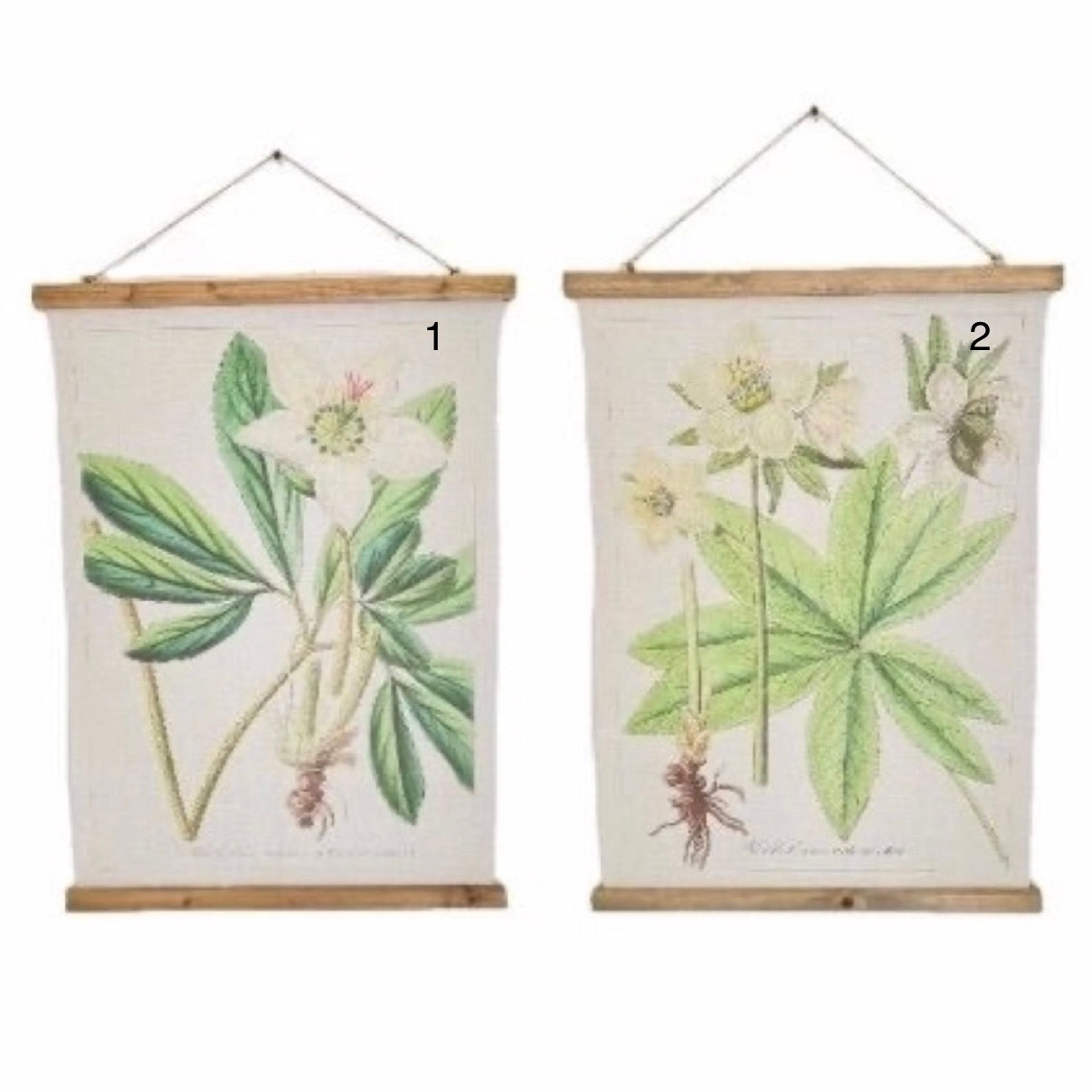 Linen Hellebore Scroll #2