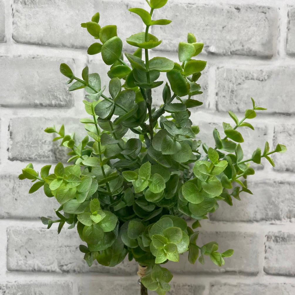 Eucalyptus Bundle 13"