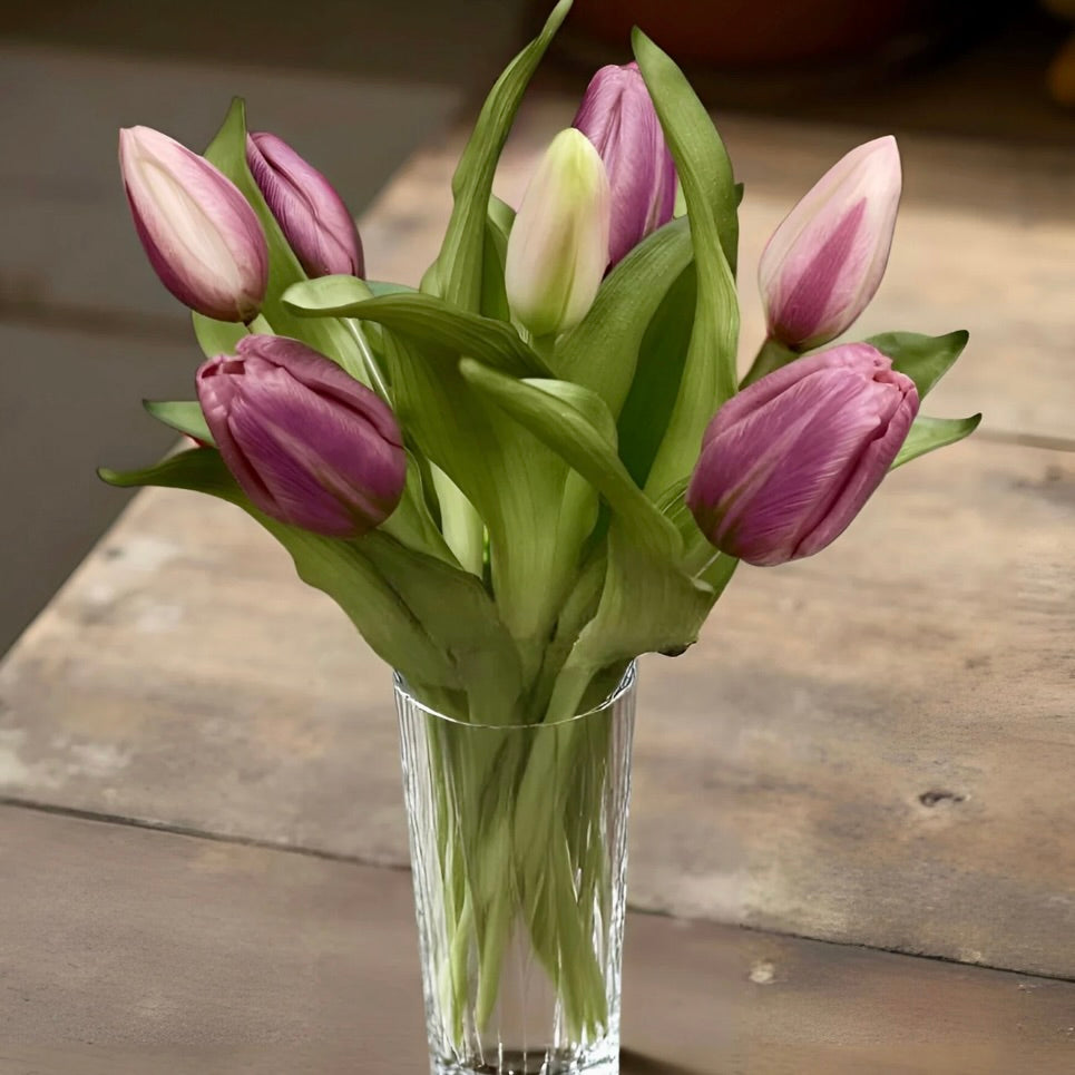 Plum Formosa Tulip Bundle