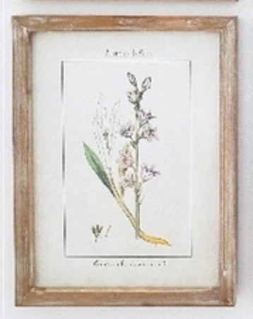 De La Flora #4