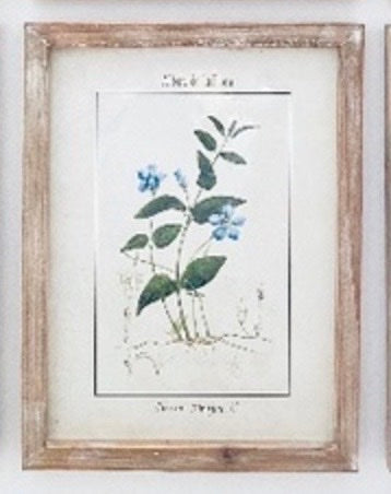 De La Flora #5