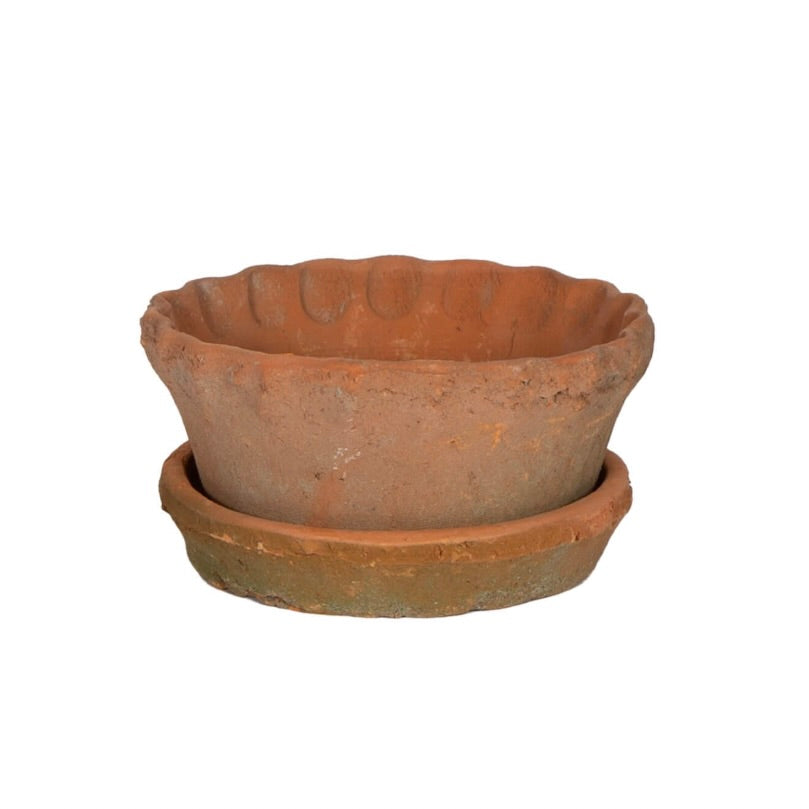 Frilly Edge Terra Cotta Dish & Saucer