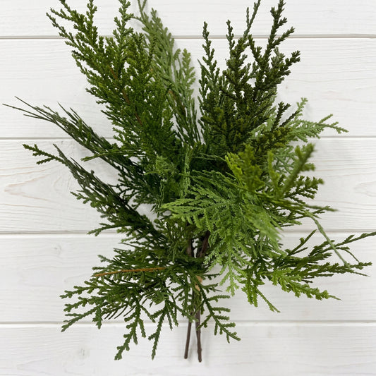 Northern White Cedar Bundle 16"