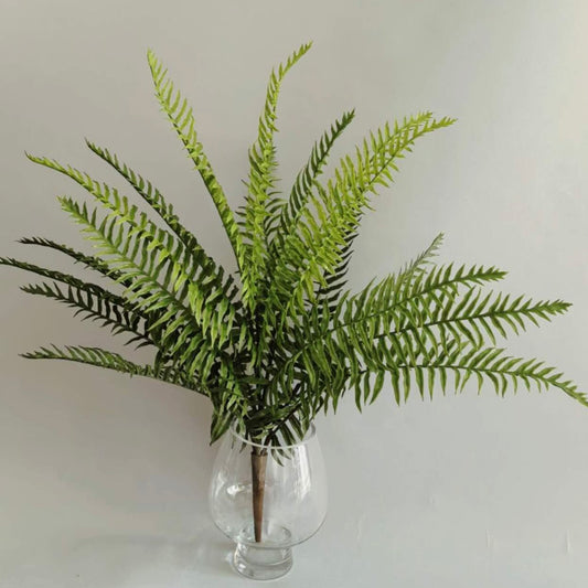 The Great Monarch Fern Bush