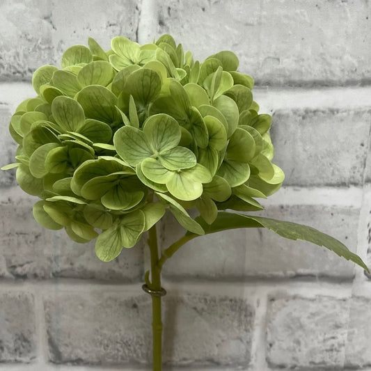 Green Hydrangea Spray