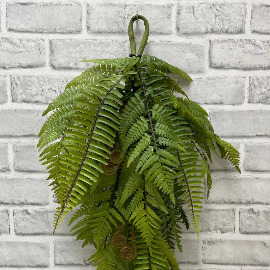 Lacy Fern and Boston Sword Fern 24"