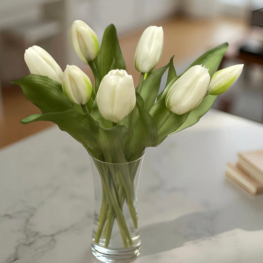 White Formosa Tulip Bundle