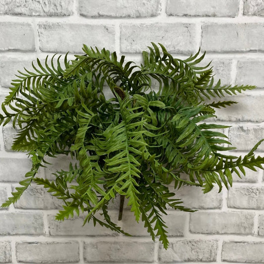 Dwarf Tree Fern Bush 18"