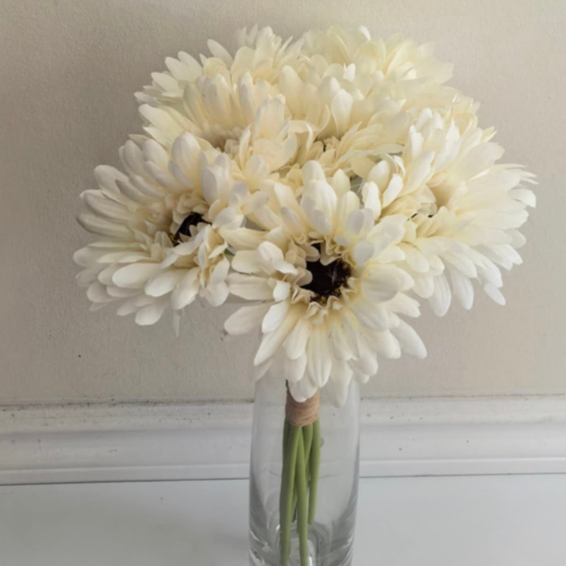 White Daisy Bundle