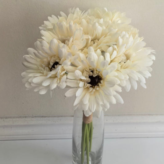White Daisy Bundle