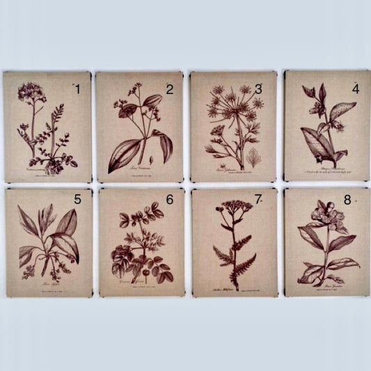 Wildflower Wall Art #2