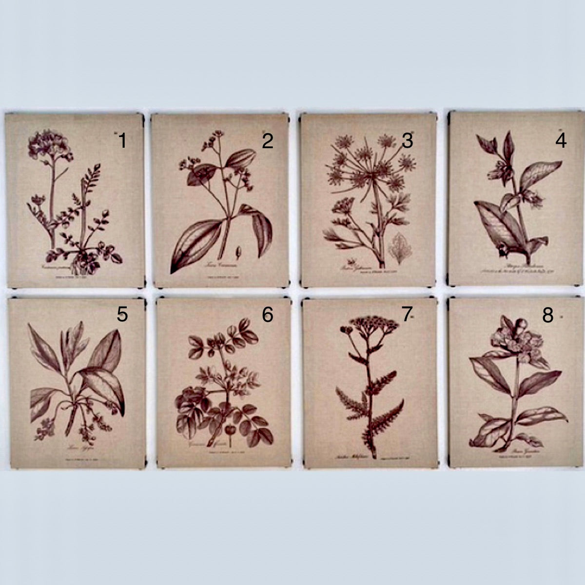 Wildflower Wall Art #8
