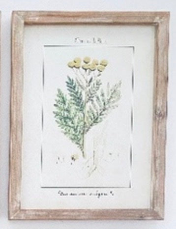 De La Flora #3