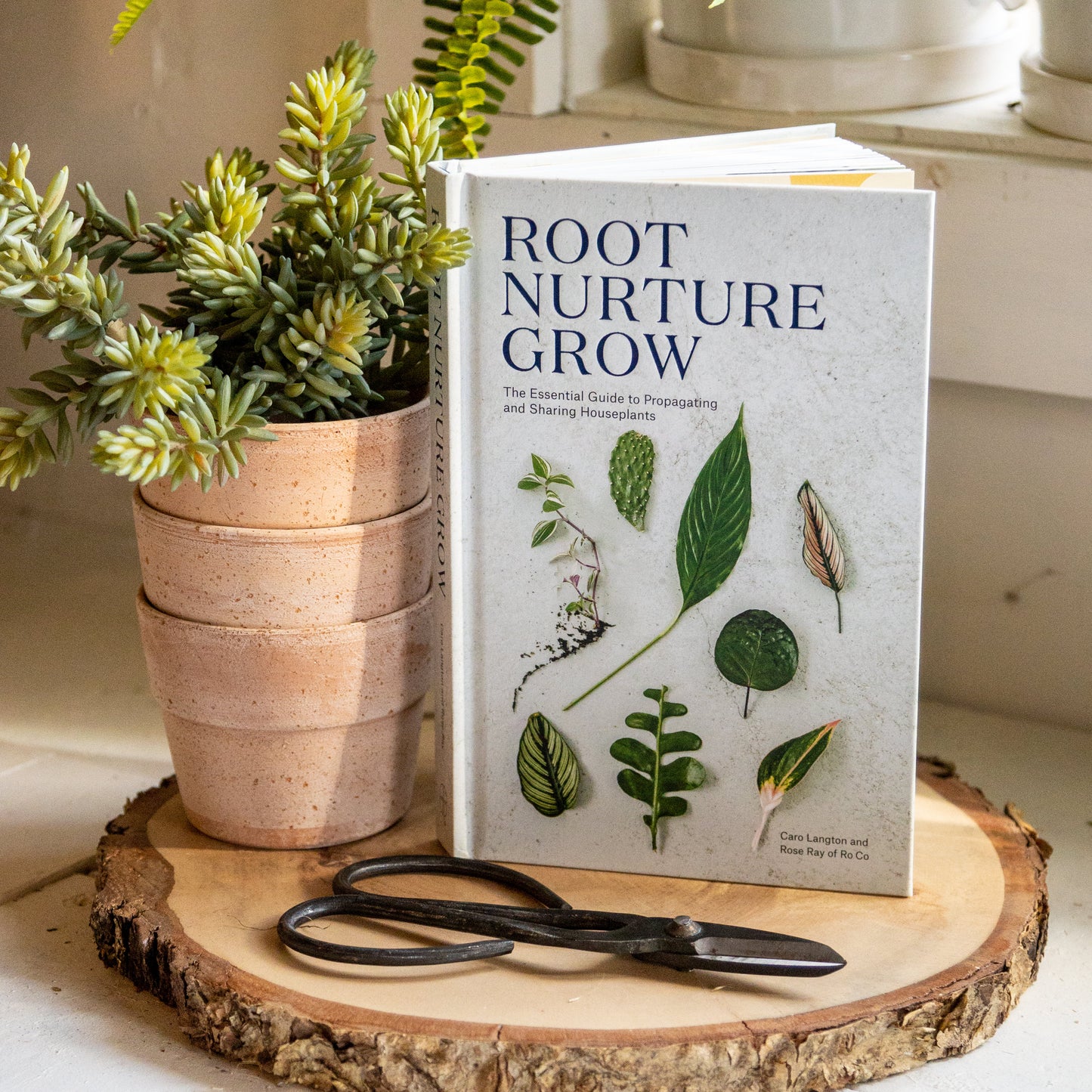 Root Nurture Grow