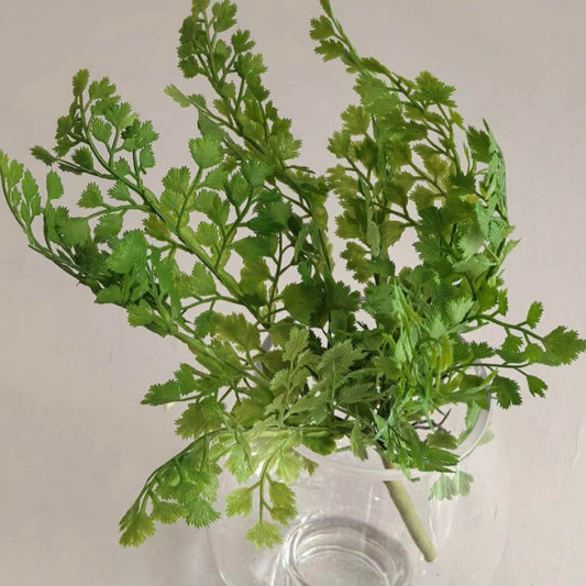 Parsley Bunch 11"