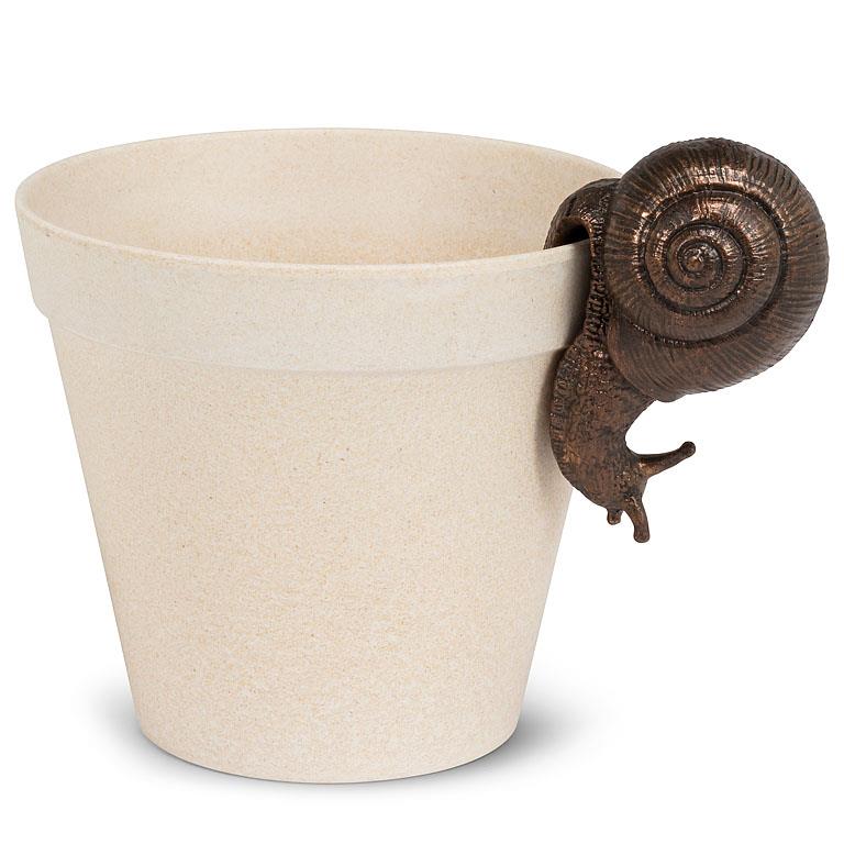 Hanging Snail