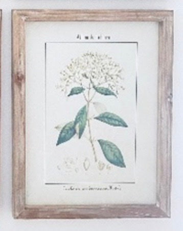 De La Flora #6