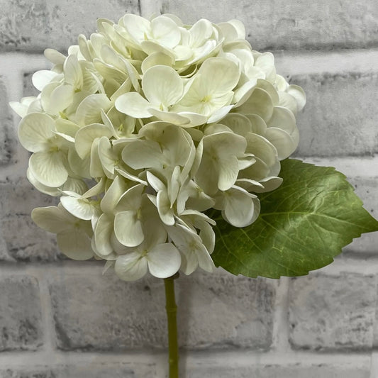 Cream Green Hydrangea Spray