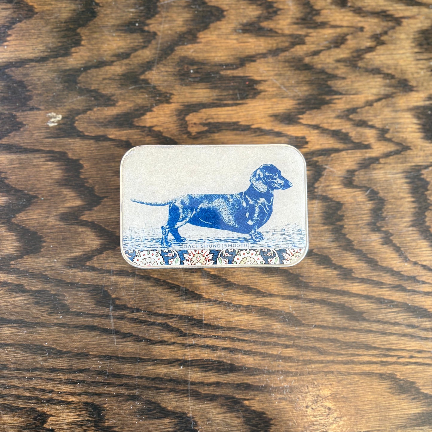 Small Dachshund Tin