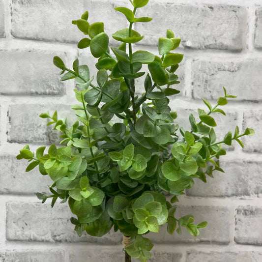 Eucalyptus Bundle 13"
