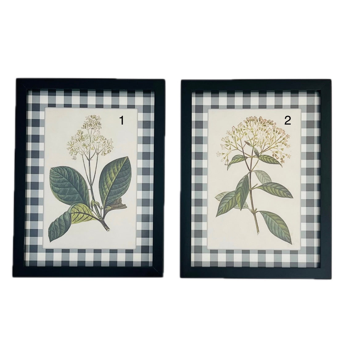 Hydrangea Art #2