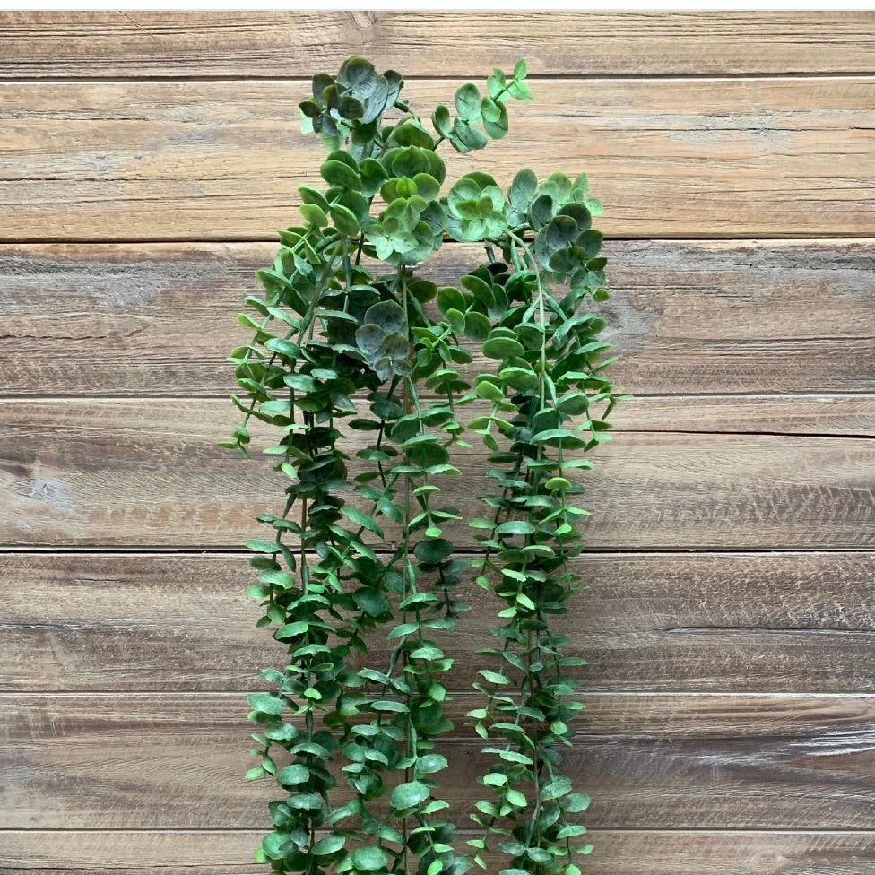 Eucalyptus Vine 31"
