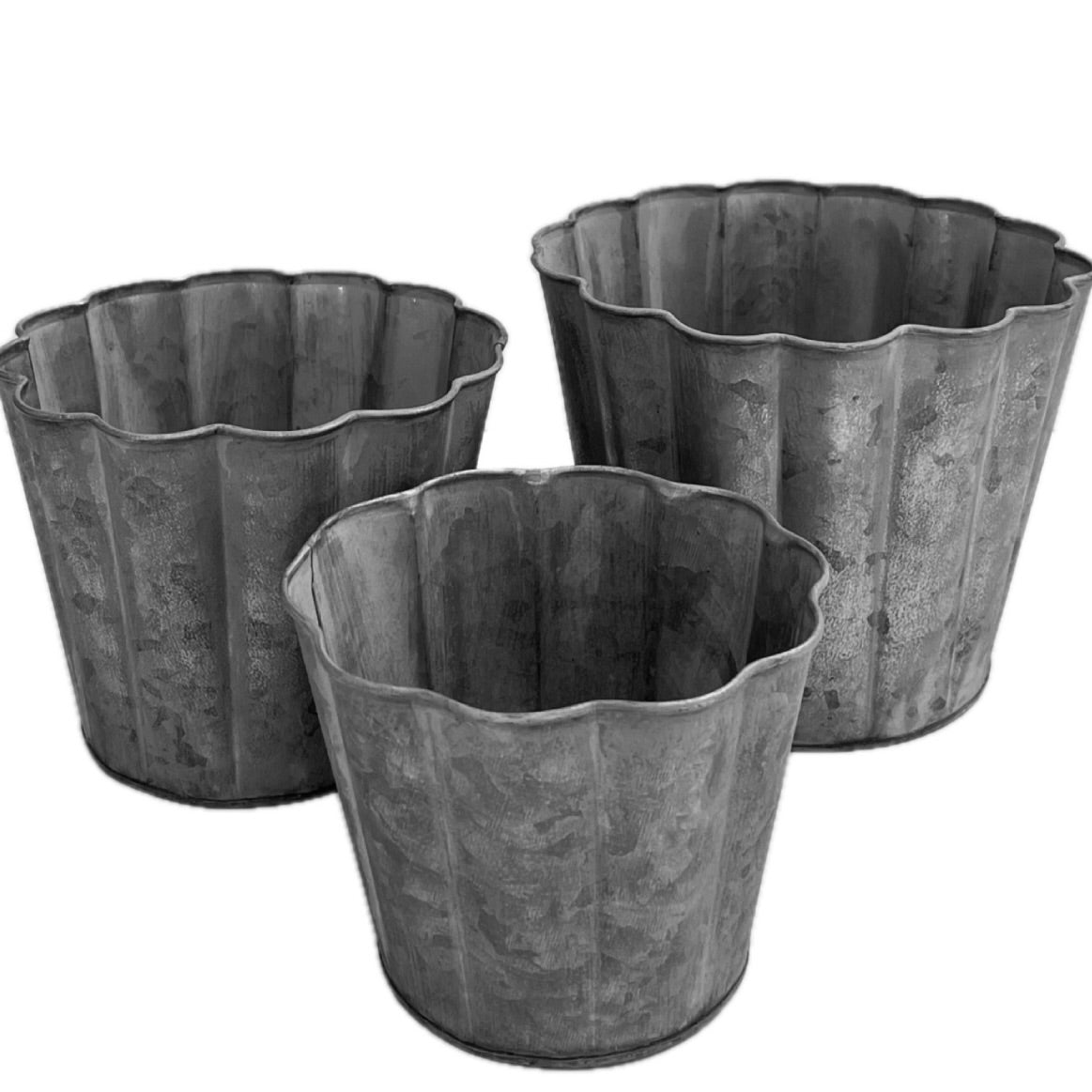 Metal Scallop Pot 7"Dx5.5"H