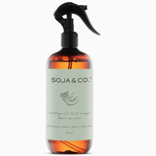 Melon & Salty Air All Purpose Cleaner