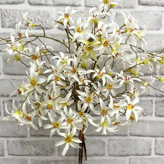 White Forsythia Bundle