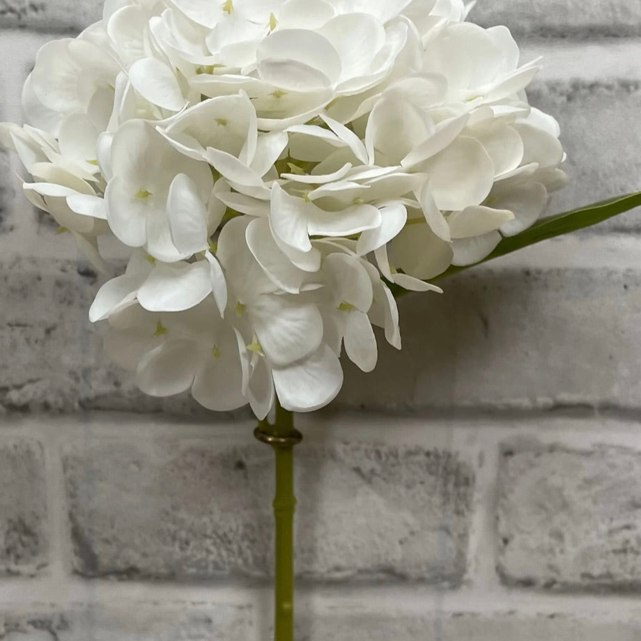 White Hydrangea