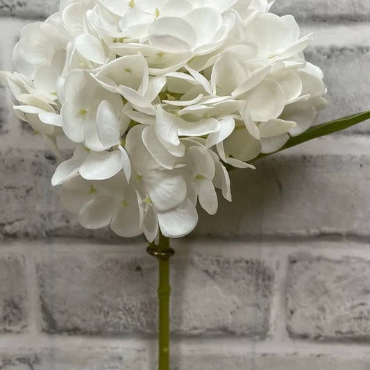 White Hydrangea