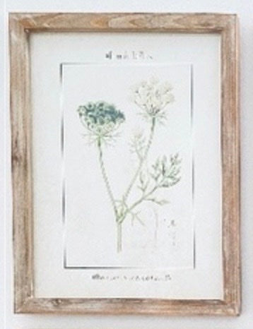 De La Flora #1