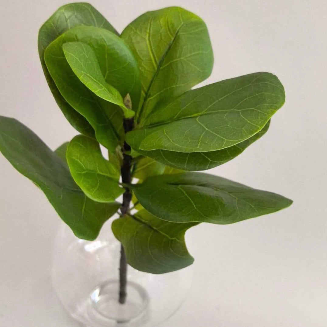 Fiddle Leaf Pick