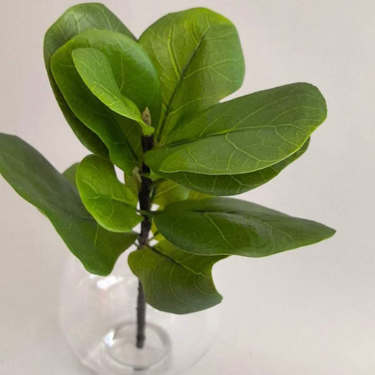 Fiddle Leaf Pick