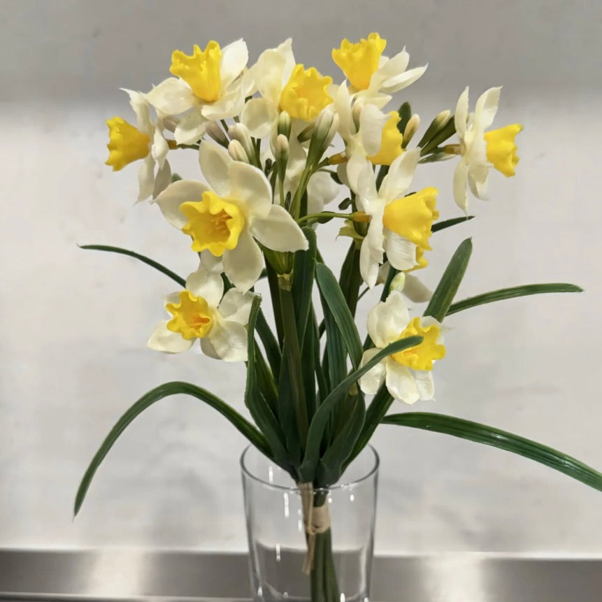Yellow Paperwhite Bundle 12"