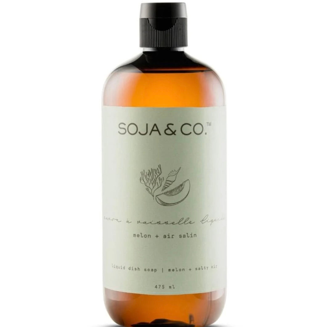 Melon & Salty Air Dish Soap