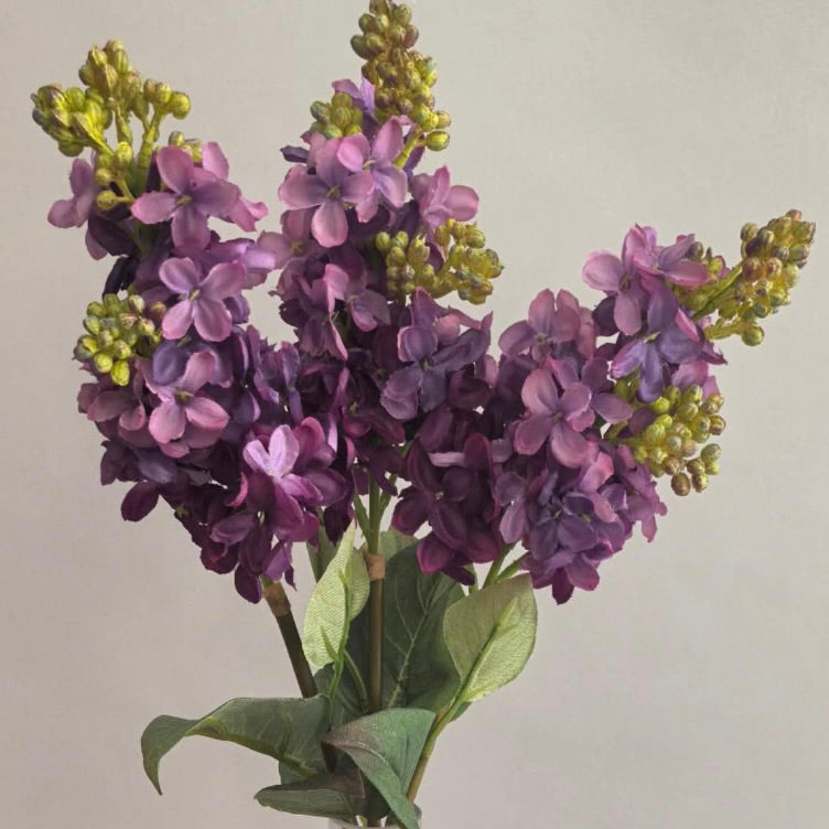 Purple Lilac Spray