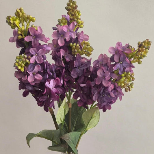Purple Lilac Spray