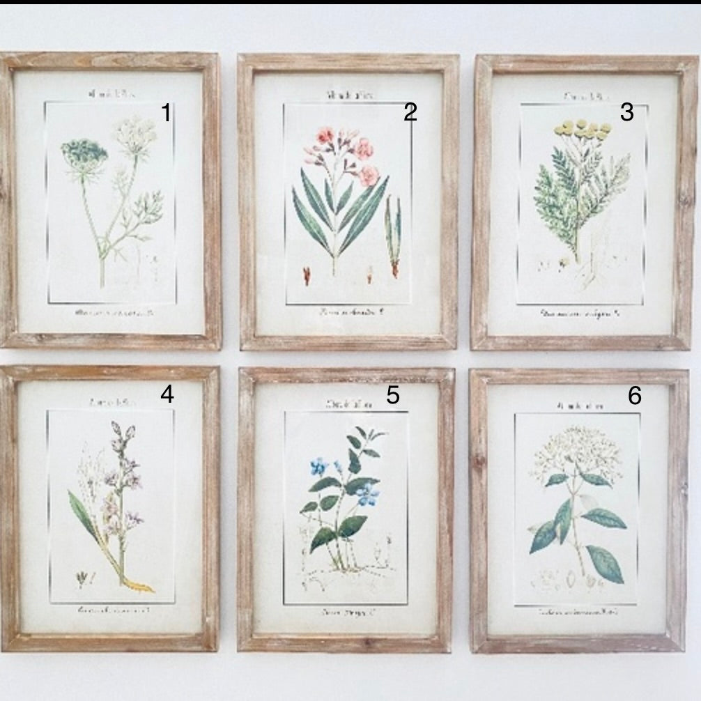 De La Flora #6