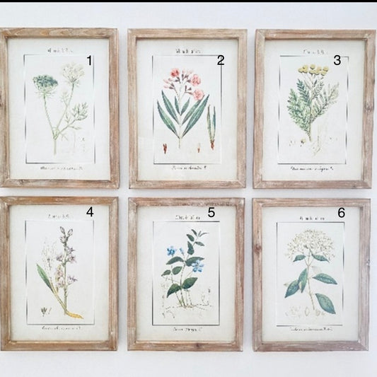De La Flora #5