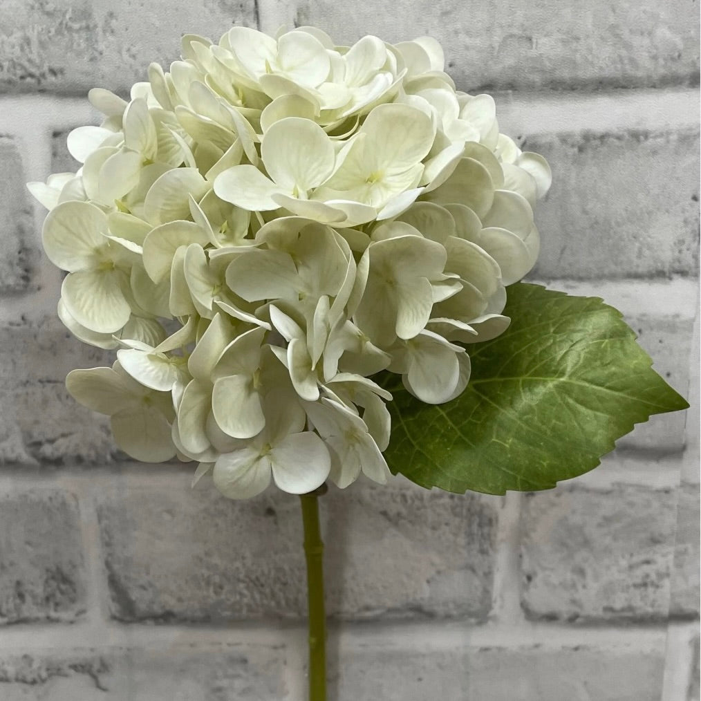 Cream Green Hydrangea Spray